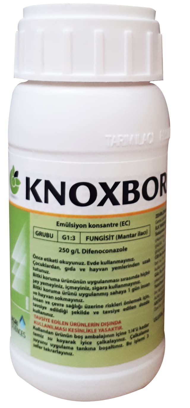 Knoxboro 500cc