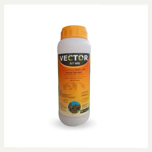 Vector 50 WG