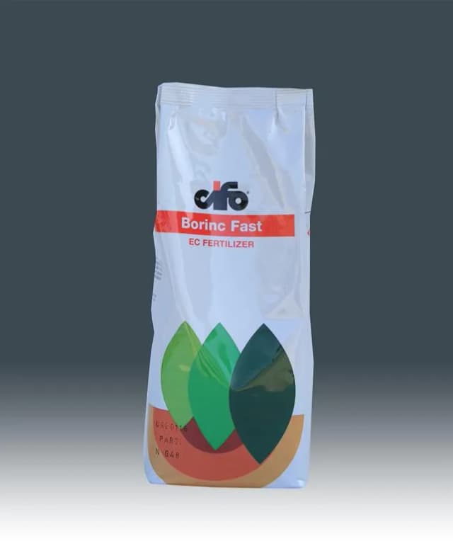 Borinc Fast cifo