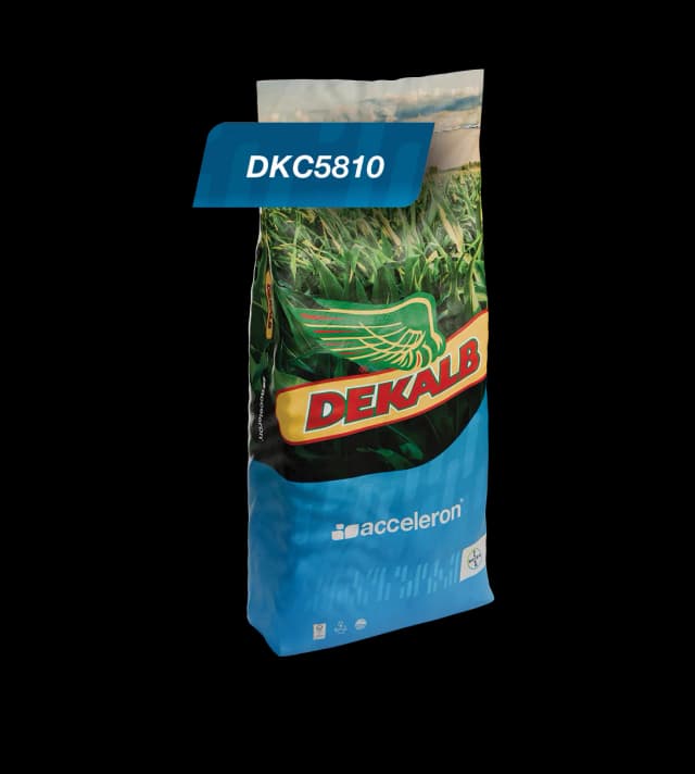 DKC-5810