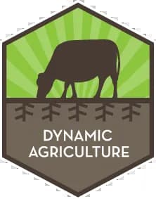 Dynam agriscience