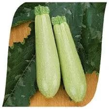 Eskenderany Seminis