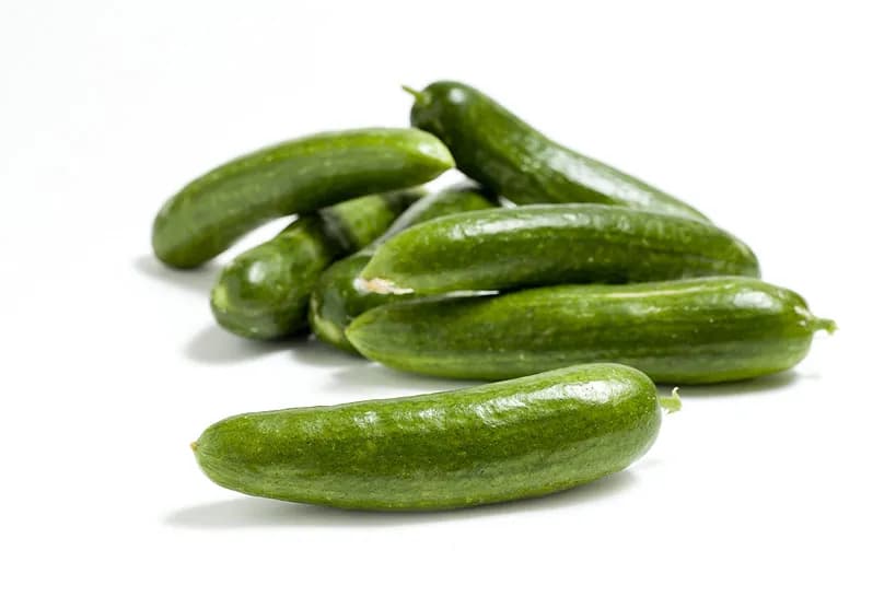 Altay Seminis